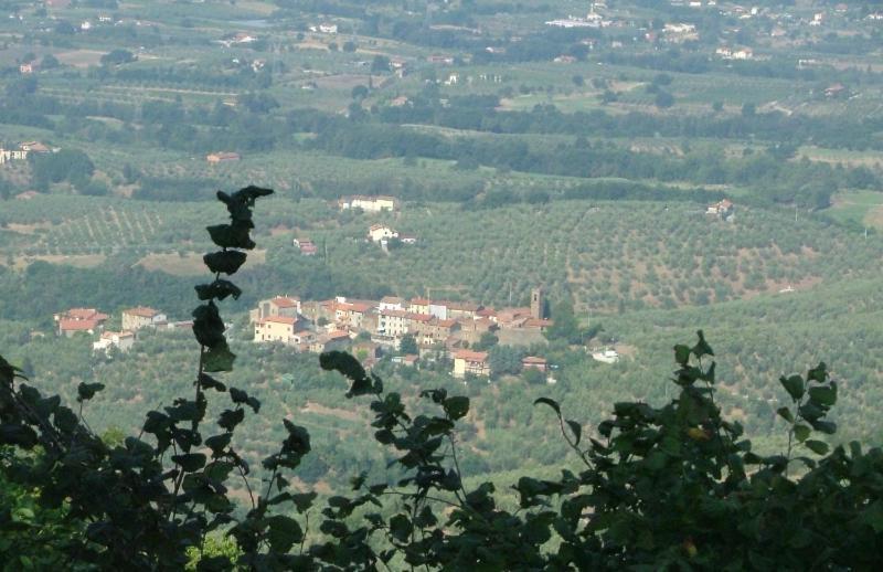Podere Calistri Larciano Exterior photo