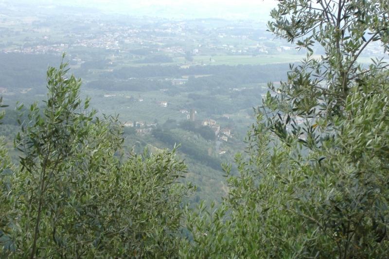 Podere Calistri Larciano Exterior photo